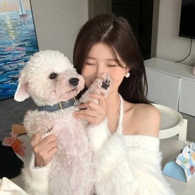 汤姆猫与杰利鼠：飙风天王封面